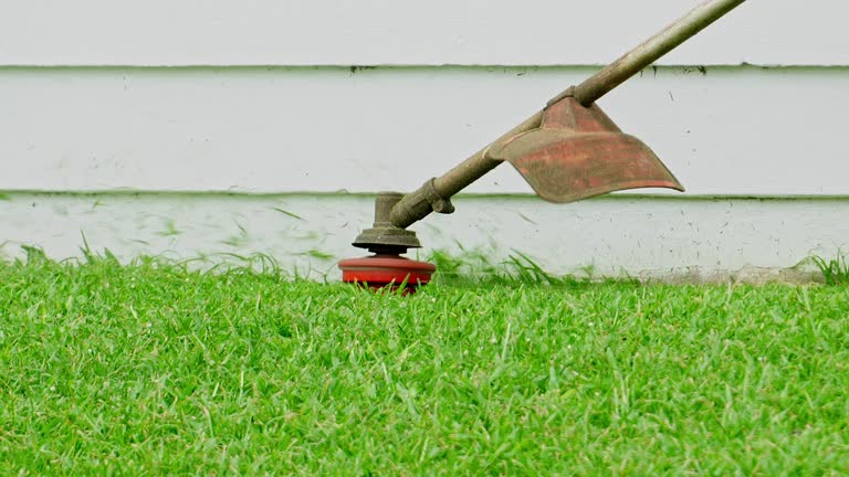 Best Tree and Shrub Care  in Gregory, TX